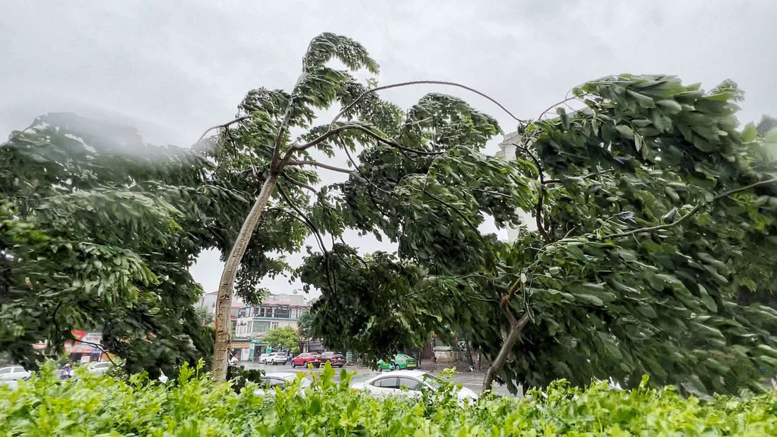 Tâm bão số 3 đang trên vùng biển Quảng Ninh - Hải Phòng - Ảnh 6.