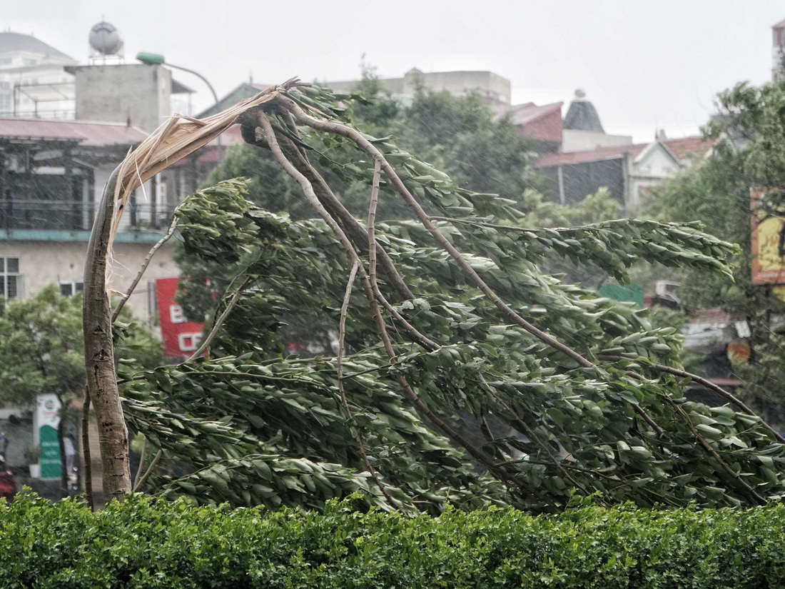 Bão số 3 đã suy yếu thành áp thấp nhiệt đới, nhiều nơi mưa to - Ảnh 38.