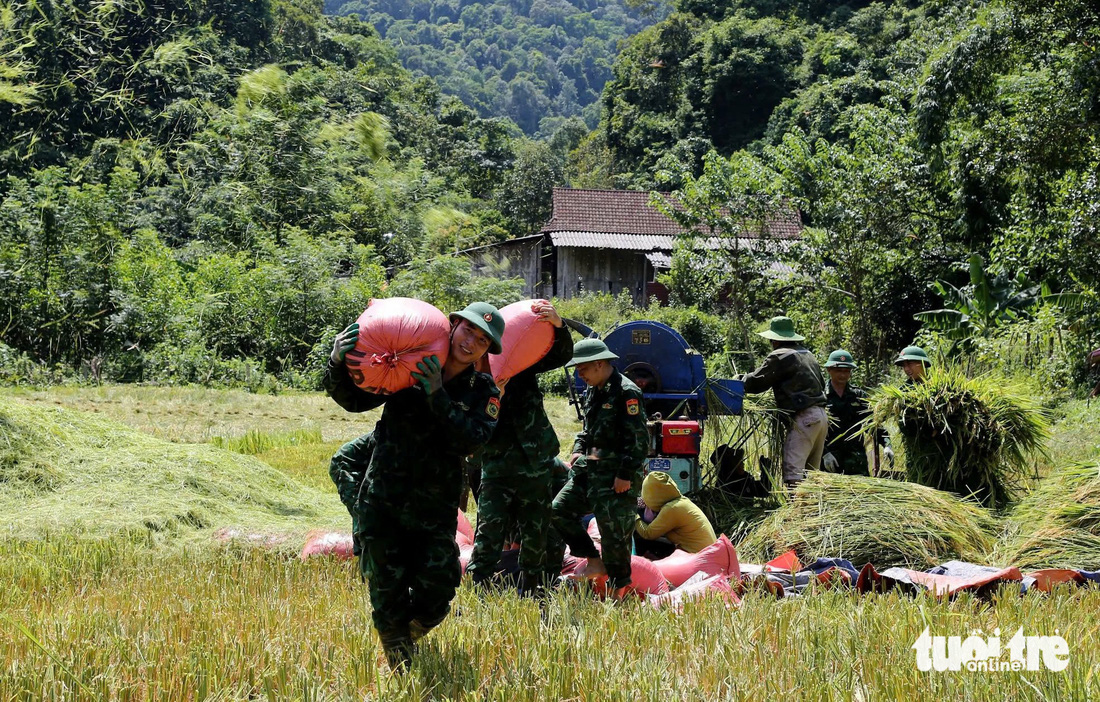 Nông dân tất bật gặt lúa 'chạy' bão số 3 - Ảnh 10.