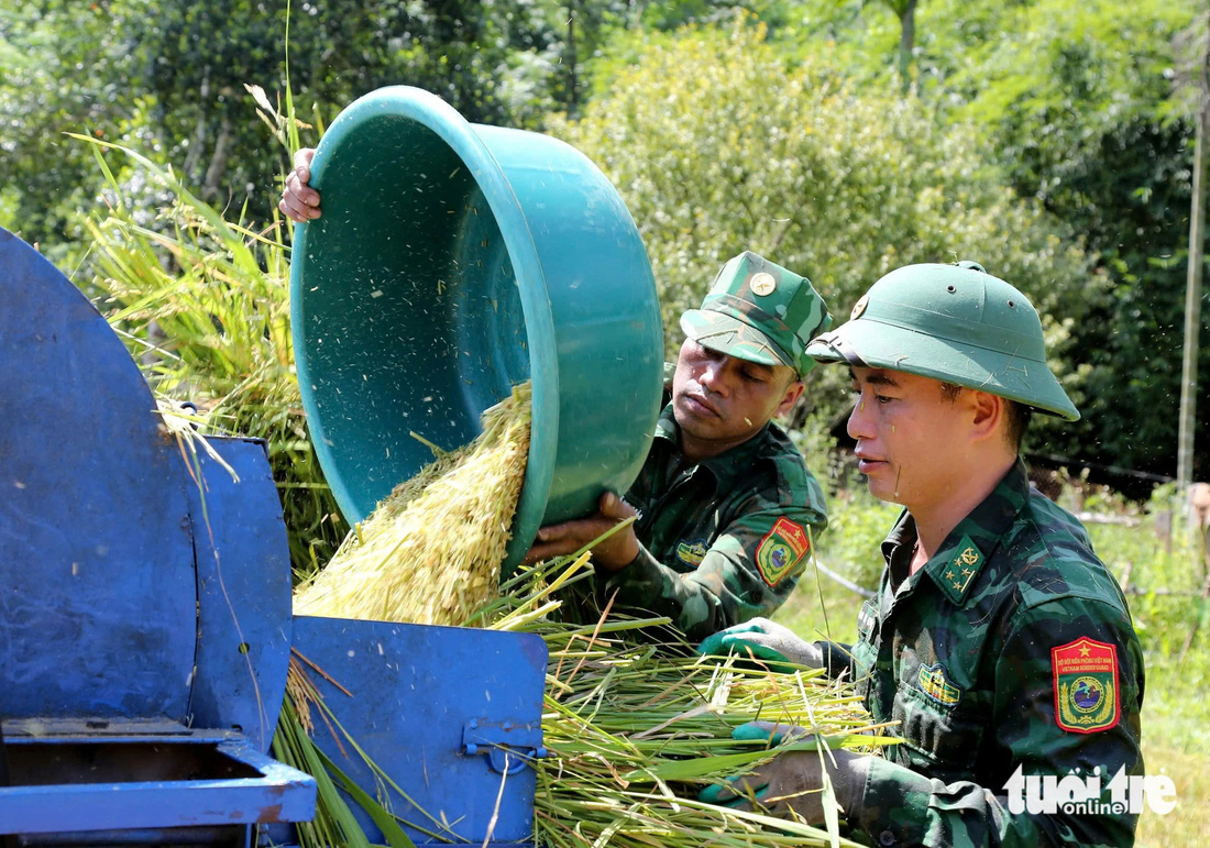 Nông dân tất bật gặt lúa 'chạy' bão Yagi - Ảnh 10.