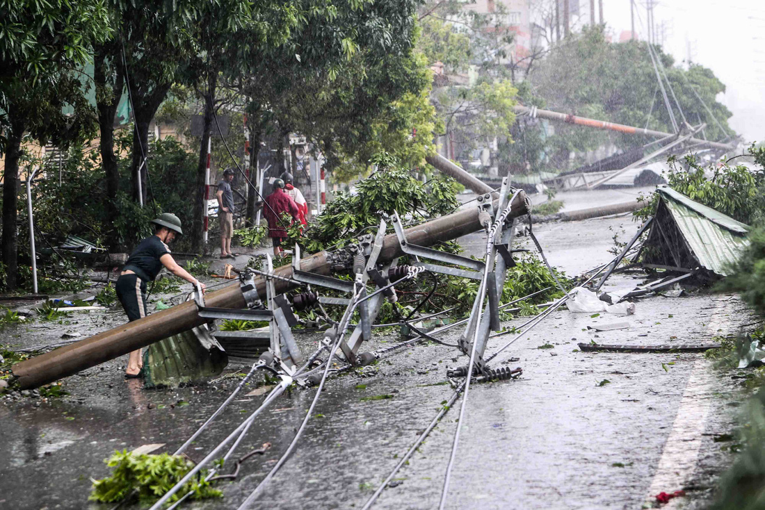 Bão số 3 đổ bộ Quảng Ninh: cột điện, cây xanh gãy đổ la liệt chưa từng thấy - Ảnh 14.