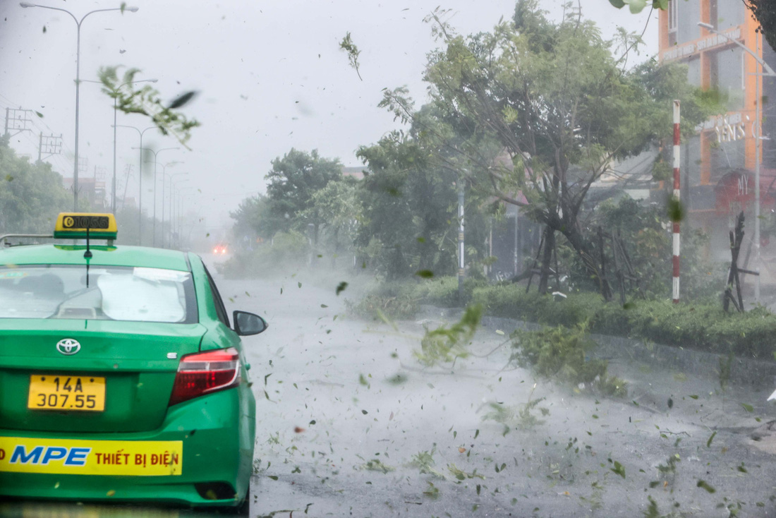 Bão số 3 đổ bộ Quảng Ninh: cột điện, cây xanh gãy đổ la liệt chưa từng thấy - Ảnh 2.