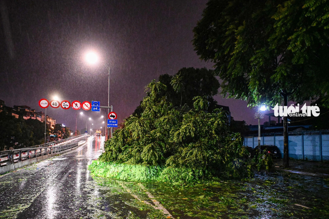 Bão số 3 quét qua: Đường phố Hà Nội tan hoang, cây đổ khắp nơi, đại lộ ngập nước - Ảnh 10.