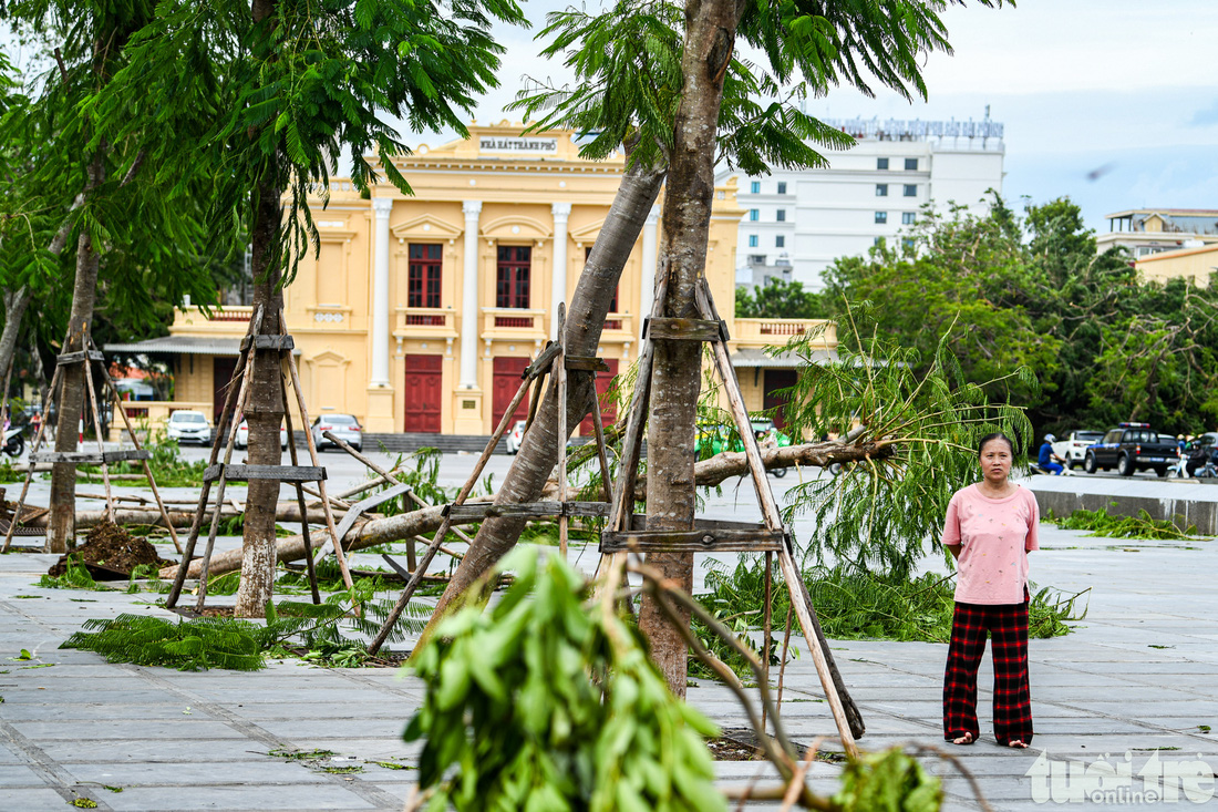 Người dân Hải Phòng tiếc nuối hàng cây cổ thụ bật gốc, gãy đổ - Ảnh 3.