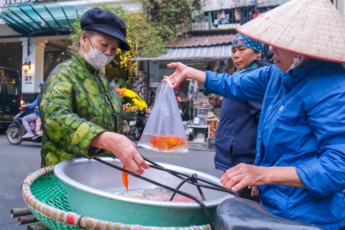 Hà Nội: Cá chép, đồ cúng ông Công, ông Táo được 'săn đón' - Ảnh 5.