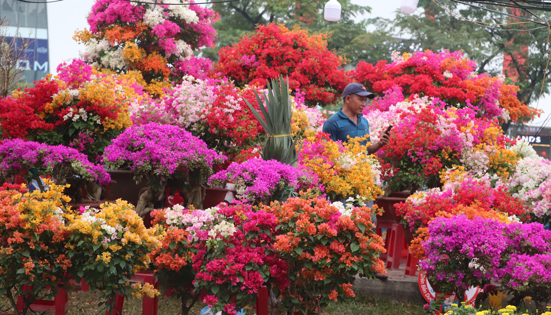 Người người đổ về chợ hoa xuân Bình Đông: Hoa trái ngập tràn, chỉ lo thiếu người mua - Ảnh 2.