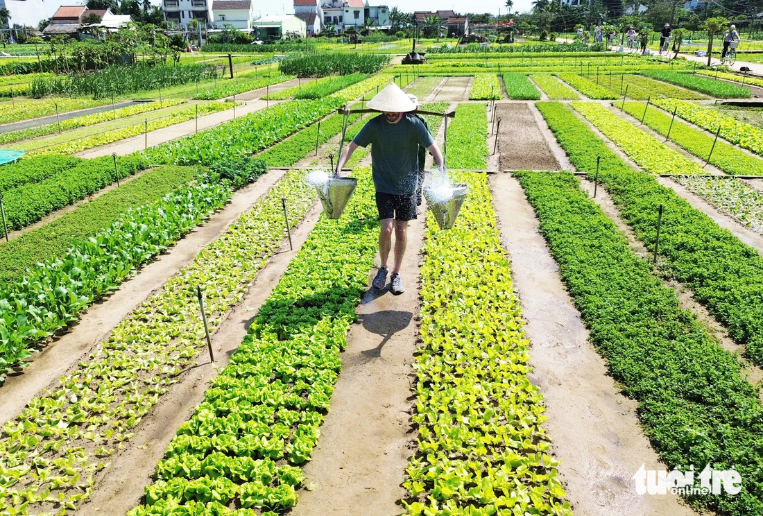 Du Xuân với màu xanh ngắt, thơm ngát, tiết trời trong lành ở làng du lịch tốt nhất năm 2024 - Ảnh 6.