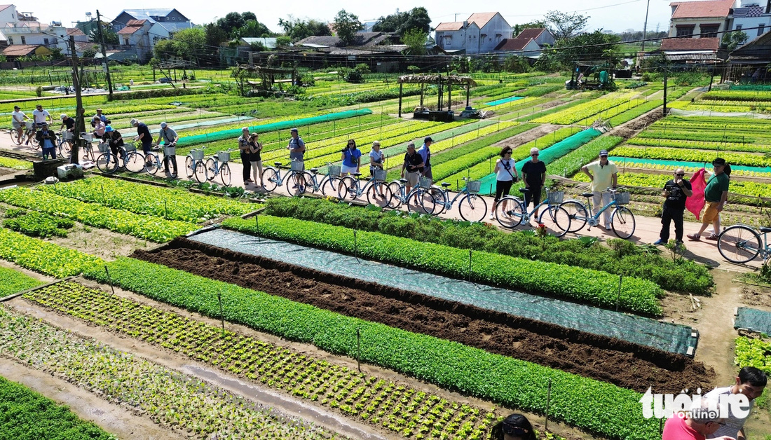 Du Xuân với màu xanh ngắt, thơm ngát, tiết trời trong lành ở làng du lịch tốt nhất năm 2024 - Ảnh 8.