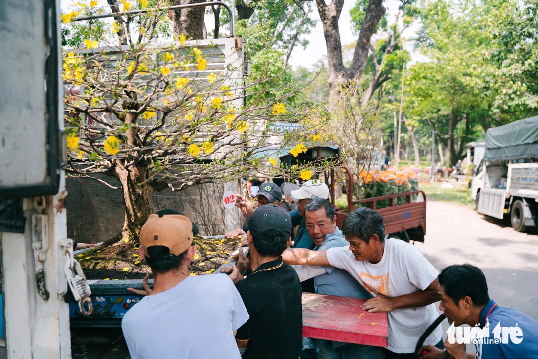 Hoa Tết bắt đầu 'xổ' khắp phố phường - Ảnh 6.