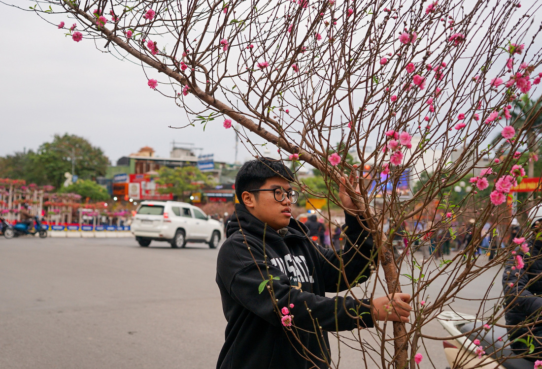 Đào, quất hạ nhiệt ngày áp tết - Ảnh 3.