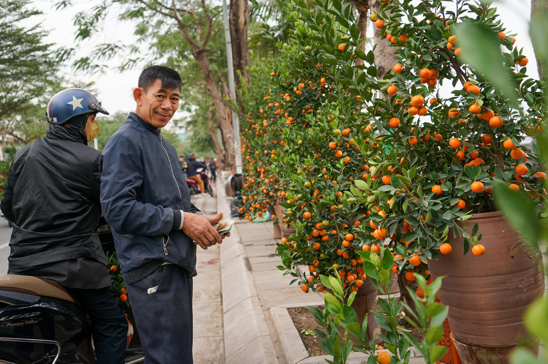 Đào, quất hạ nhiệt ngày áp tết - Ảnh 5.