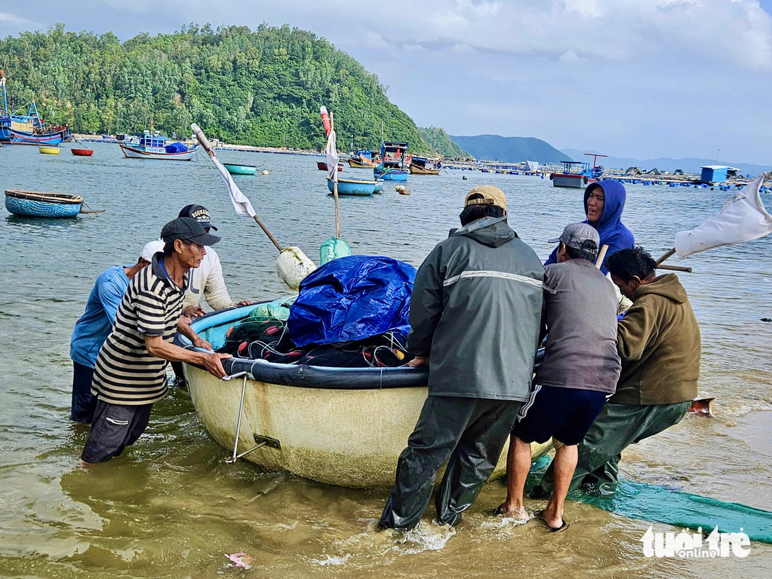 Chong đèn thâu đêm săn tôm hùm giống - Ảnh 4.