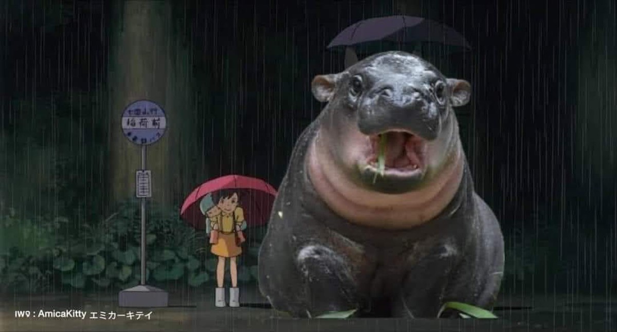 Tuyển tập meme của bé hà mã đáng yêu Moo Deng - Tuổi Trẻ Online