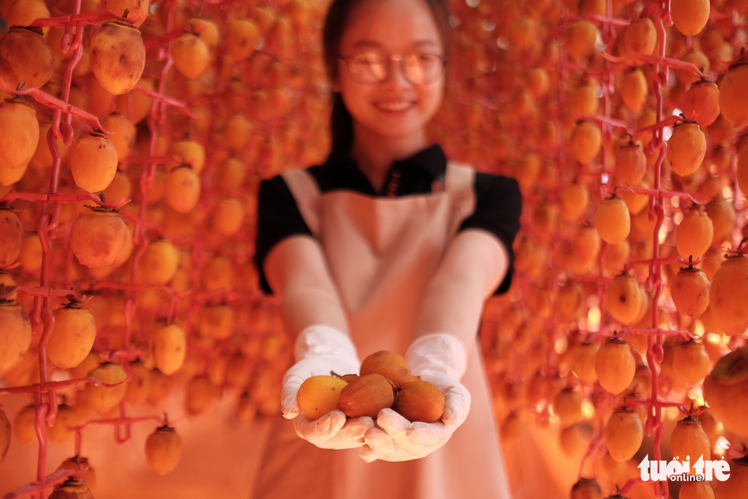 Hồng treo gió ứa mật kiểu Nhật cứu cả ngành hồng Đà Lạt - Ảnh 10.