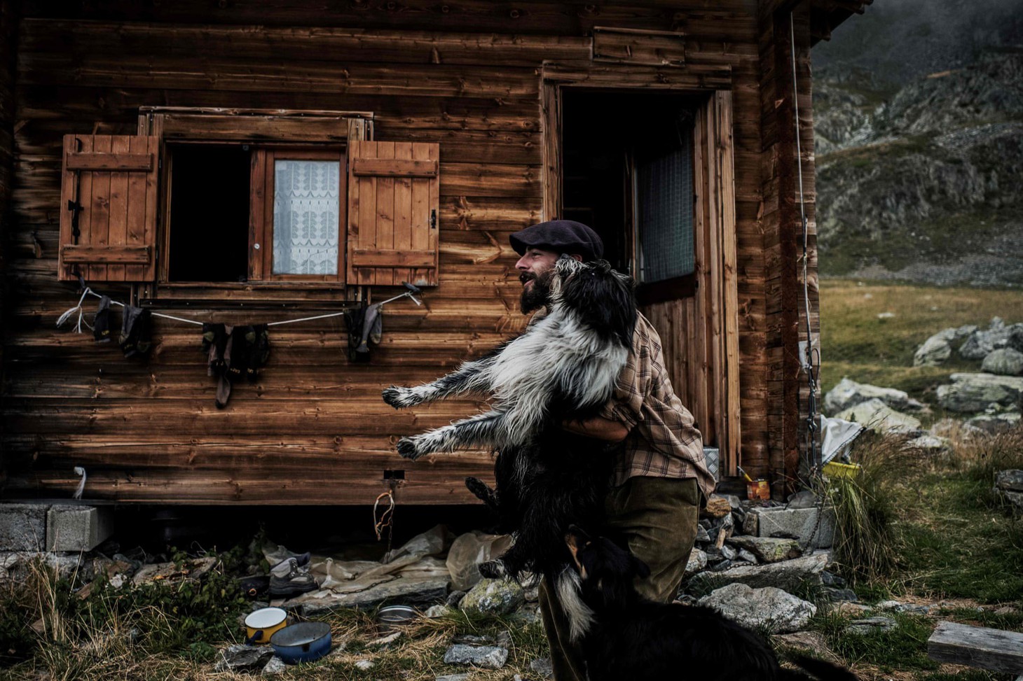 Theo chân người chăn cừu trên vùng đồng cỏ núi Alps - Ảnh 8.