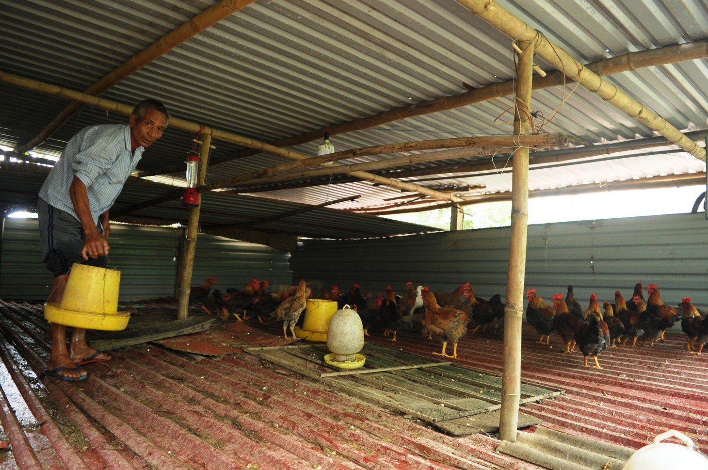 Dân khóc nghẹn nhìn gà vịt chết chìm trong nước - Ảnh 9.