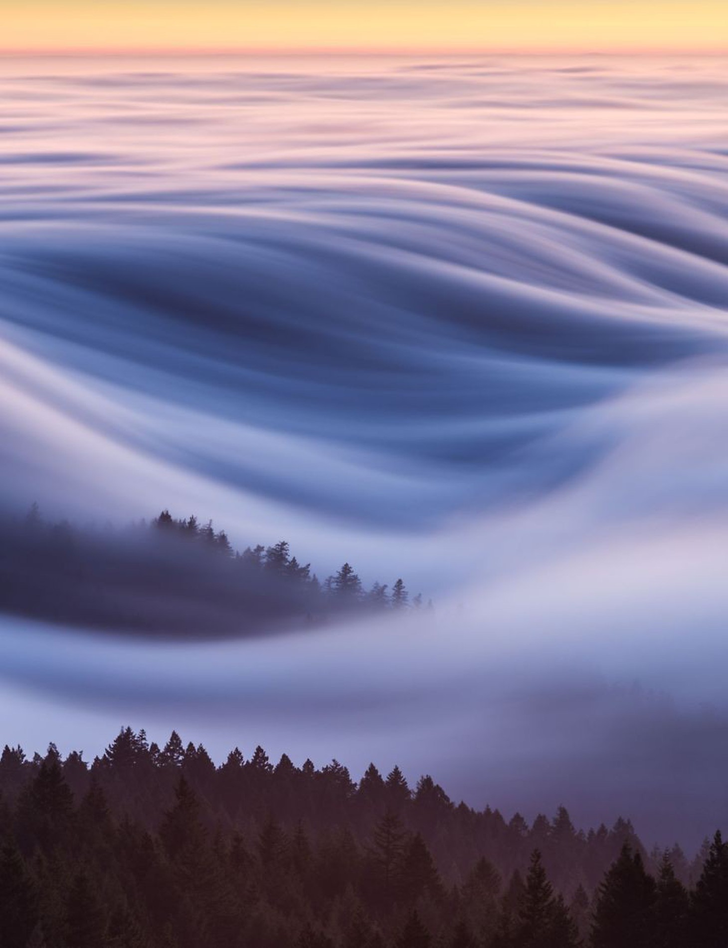 Ngắm ảnh ấn tượng cuộc thi National Geographic Photo Contest 2018 - Ảnh 5.