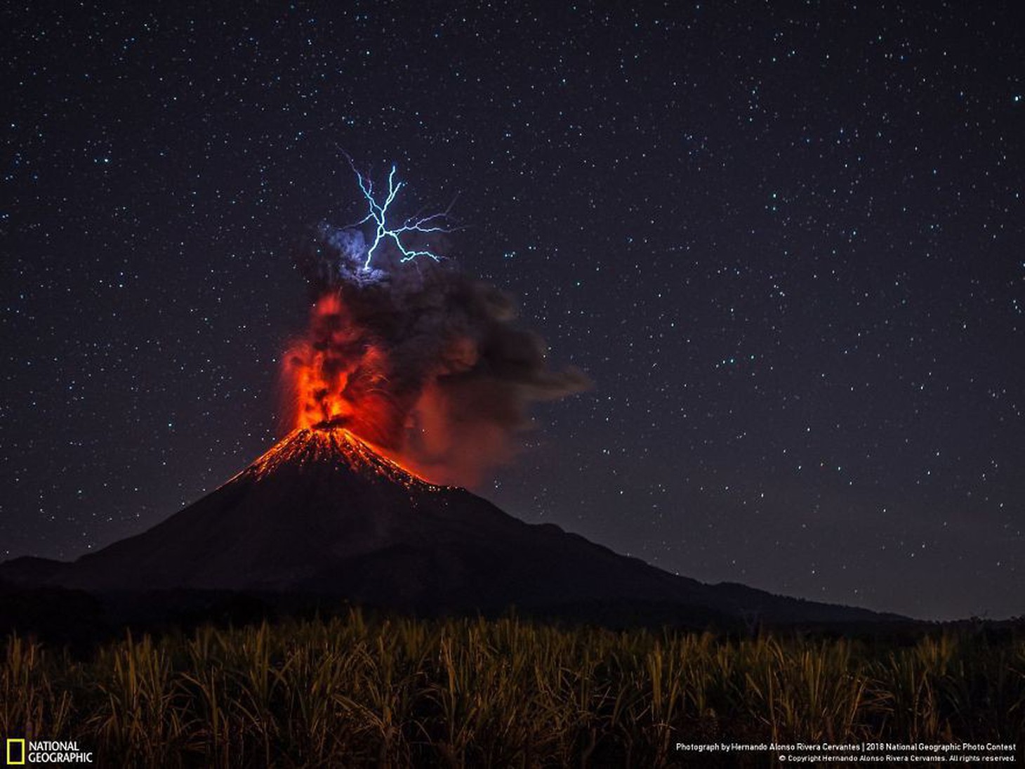 Ngắm ảnh ấn tượng cuộc thi National Geographic Photo Contest 2018 - Ảnh 4.