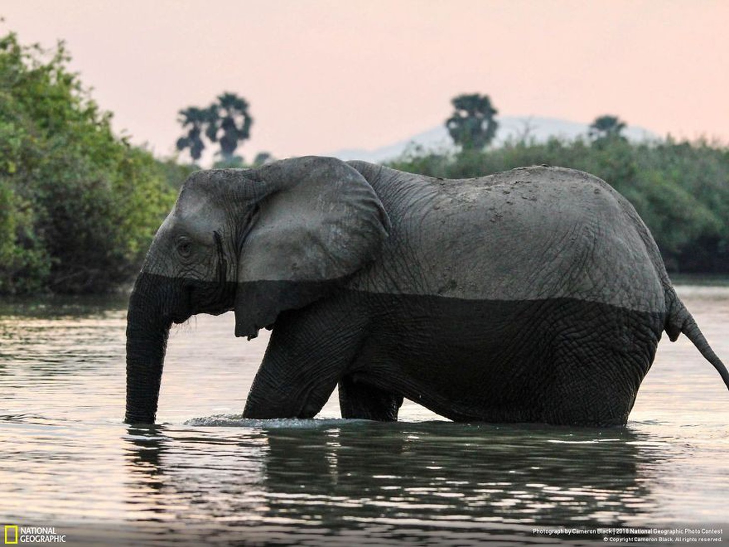 Ngắm ảnh ấn tượng cuộc thi National Geographic Photo Contest 2018 - Ảnh 3.