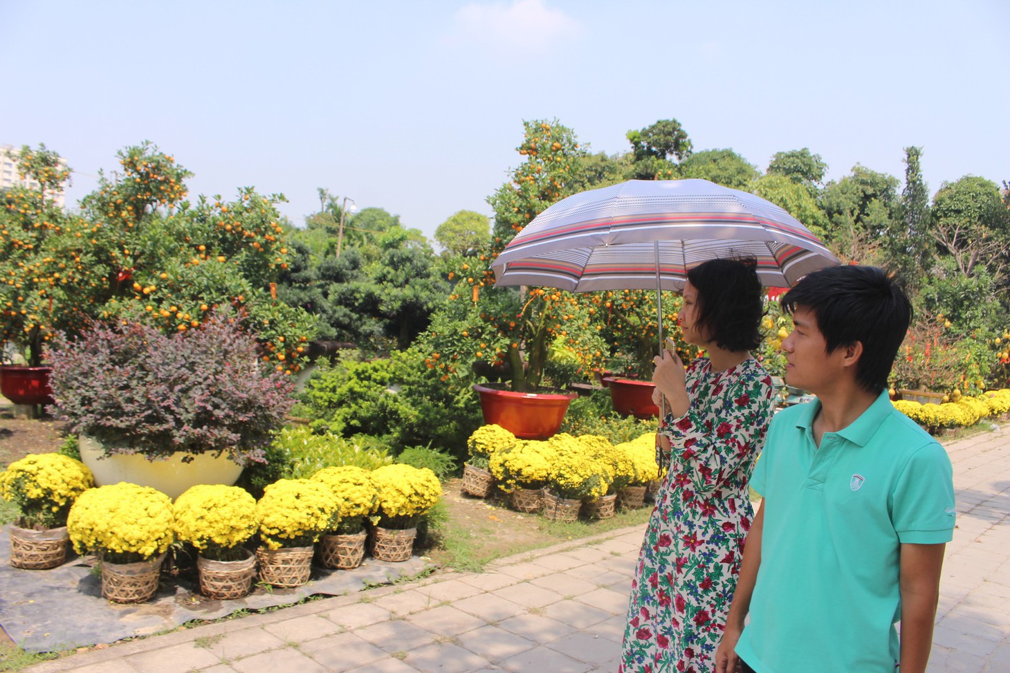 Đào tết Nhật Tân hàng chục triệu đồng xuống phố Sài Gòn - Ảnh 9.