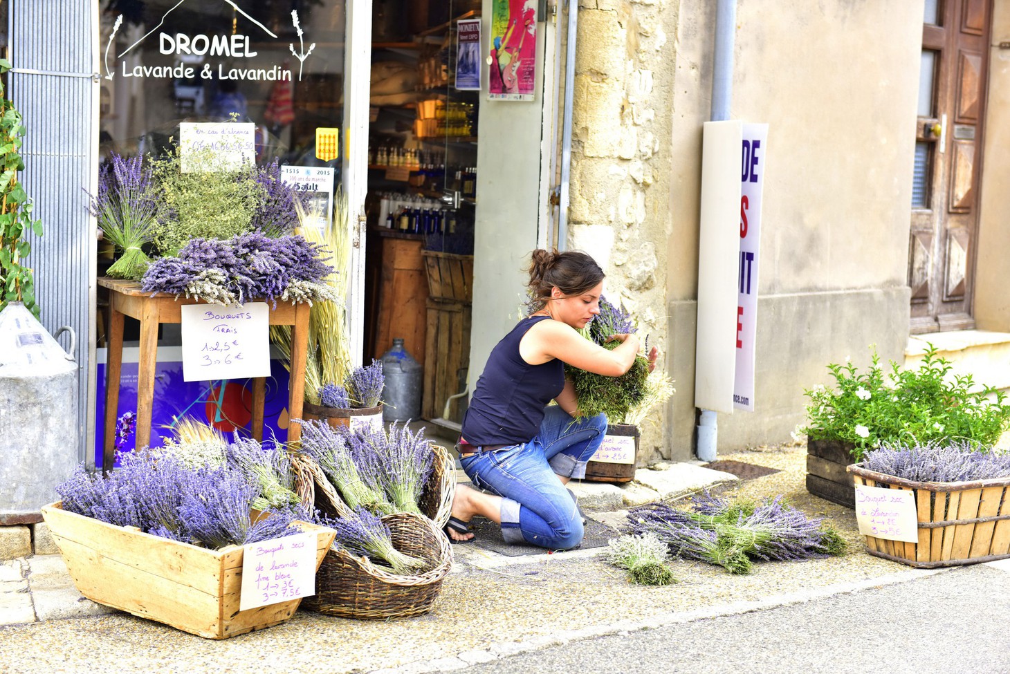 Đi tìm giấc mơ màu tím Lavender - Ảnh 2.