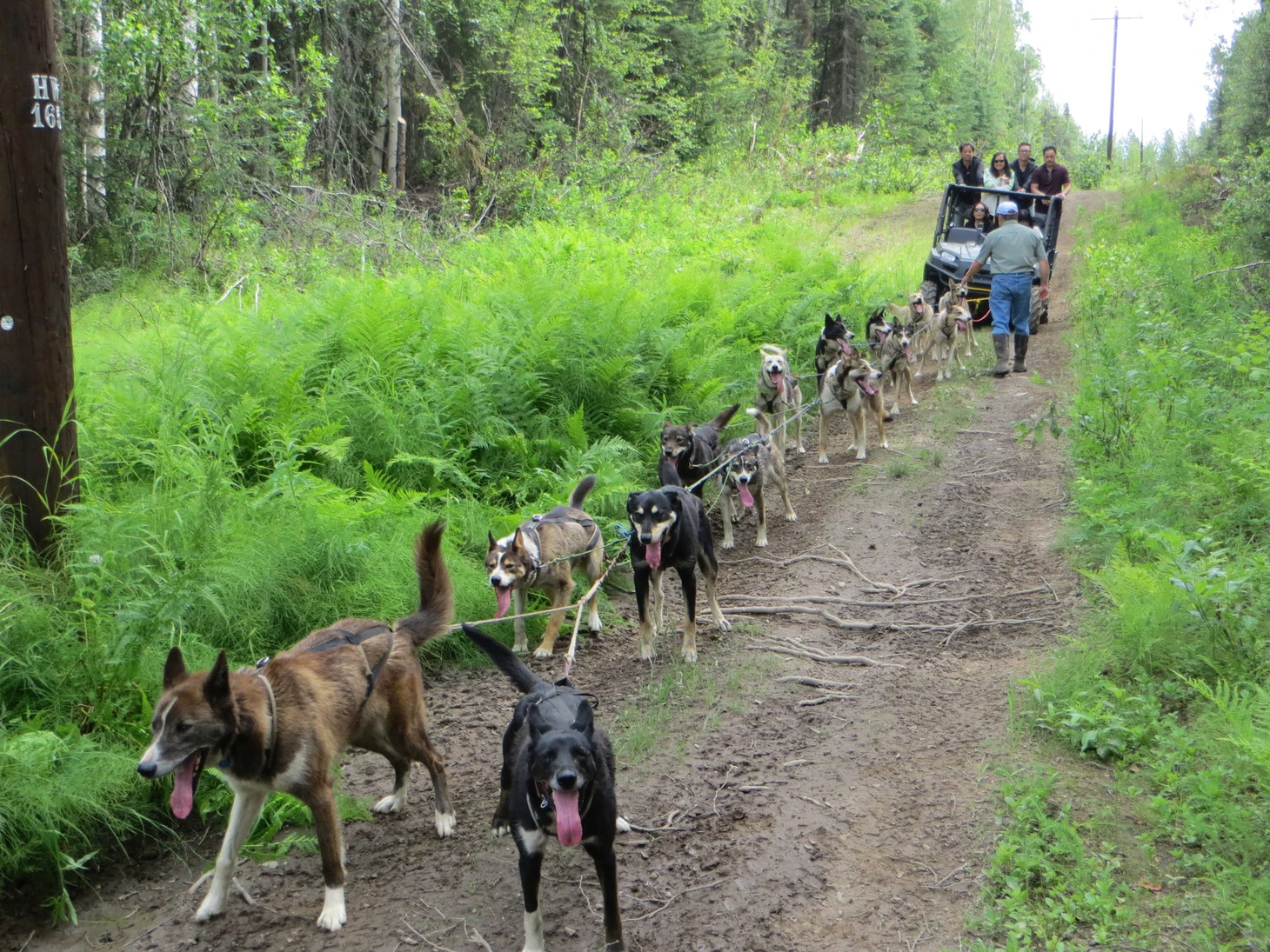 Alaska - trải nghiệm độc đáo  miền băng giá - Ảnh 6.