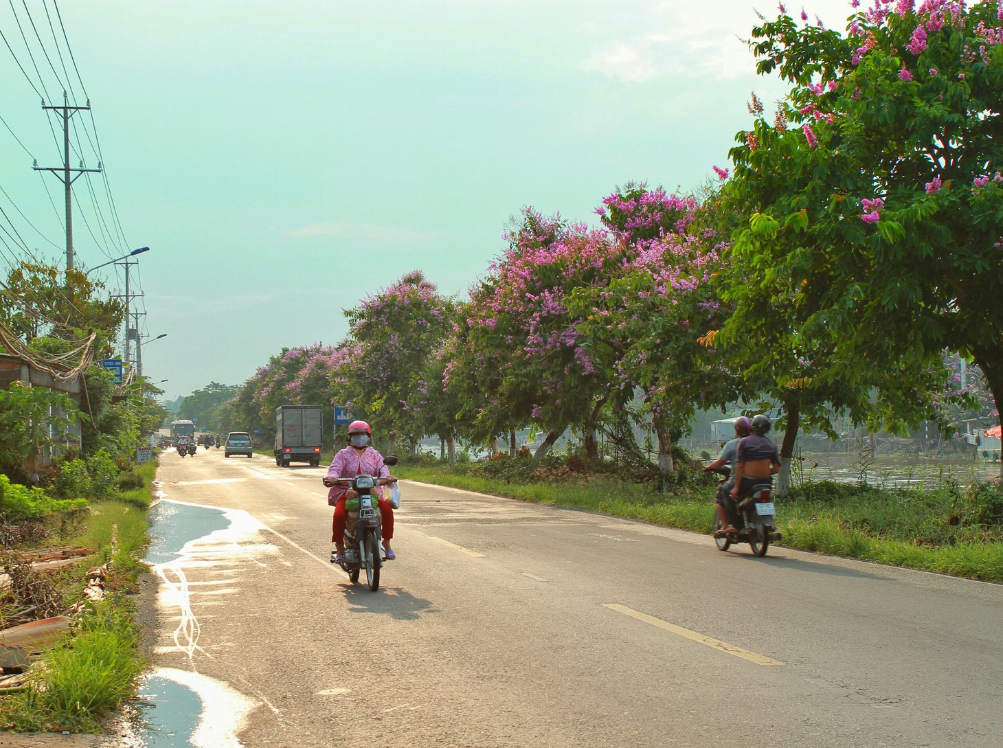 Con đường hoa phượng hút bạn trẻ ở Đồng Tháp - Ảnh 11.