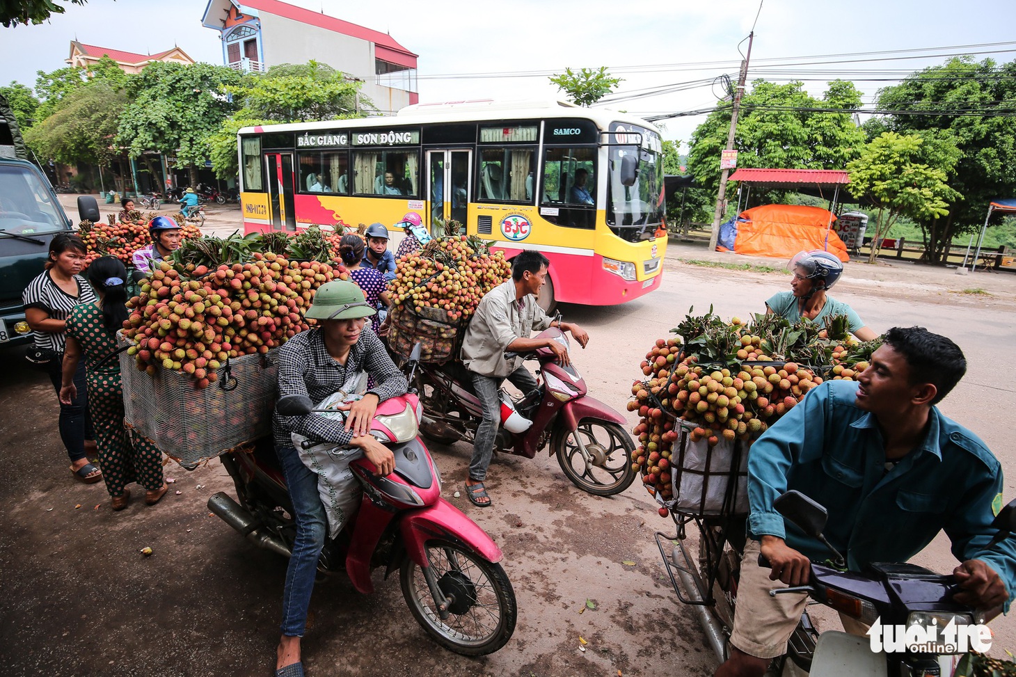 Vải Lục Ngạn đầu mùa đã rớt giá, chỉ còn 6.000-8.000đ/kg - Ảnh 3.