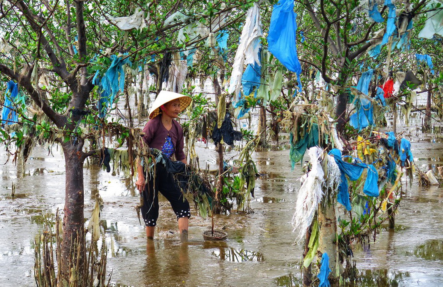 Kinh hoàng biển… rác ở Hậu Lộc, Thanh Hóa - Ảnh 6.