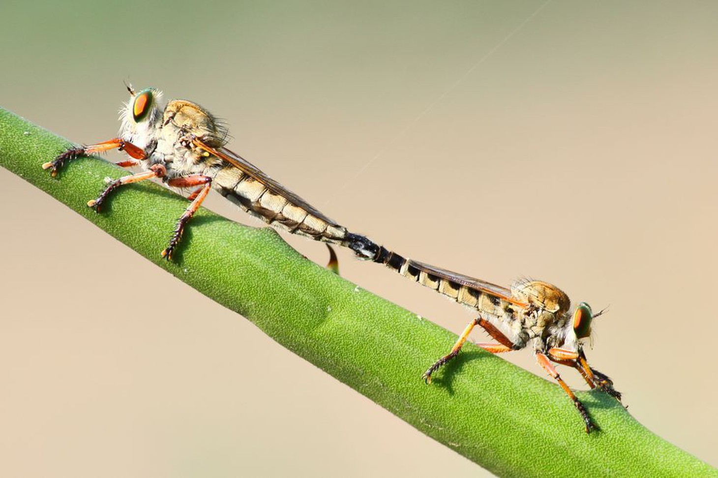 Ảnh thiên nhiên đẹp ngẩn ngơ từ cuộc thi ảnh du lịch NatGeo - Ảnh 6.