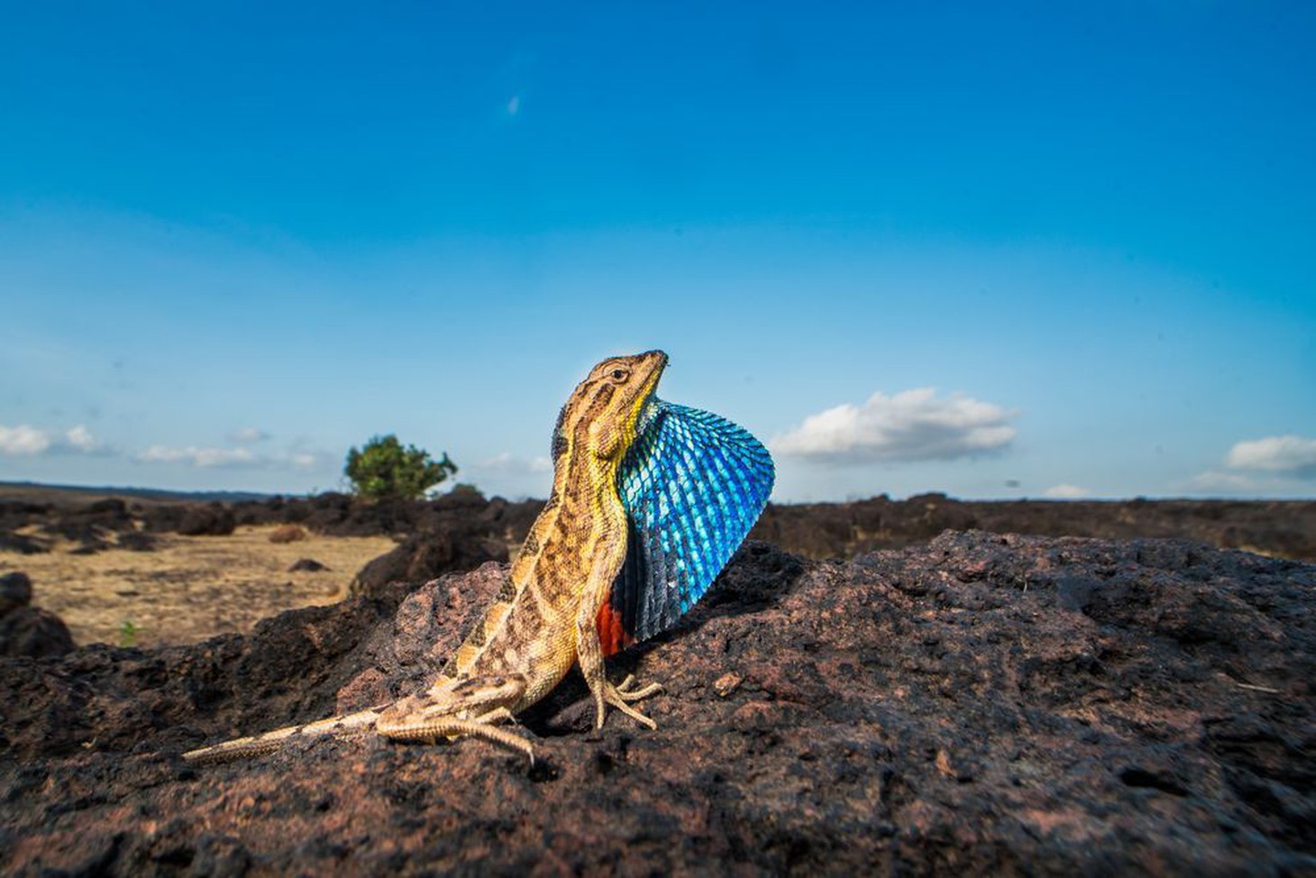 Ảnh thiên nhiên đẹp ngẩn ngơ từ cuộc thi ảnh du lịch NatGeo - Ảnh 14.