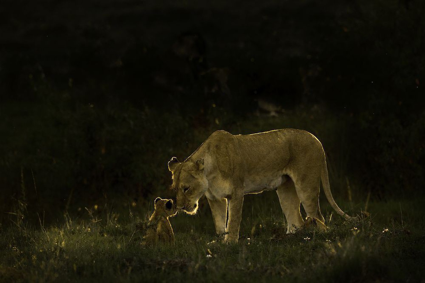 Ảnh thiên nhiên đẹp ngẩn ngơ từ cuộc thi ảnh du lịch NatGeo - Ảnh 17.