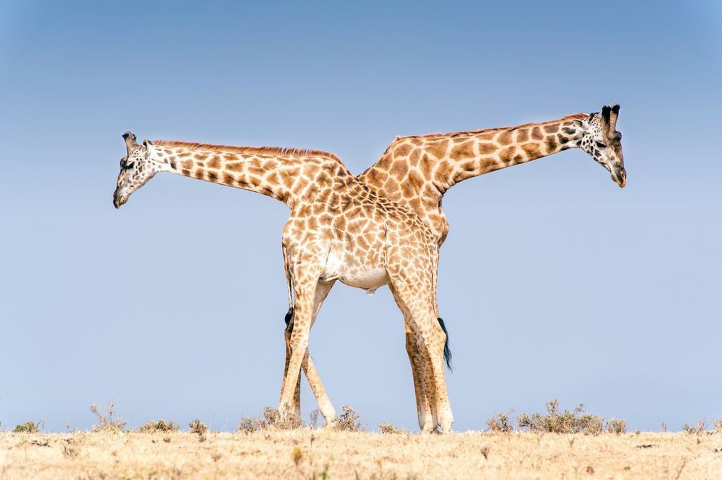 Ảnh thiên nhiên đẹp ngẩn ngơ từ cuộc thi ảnh du lịch NatGeo - Ảnh 5.