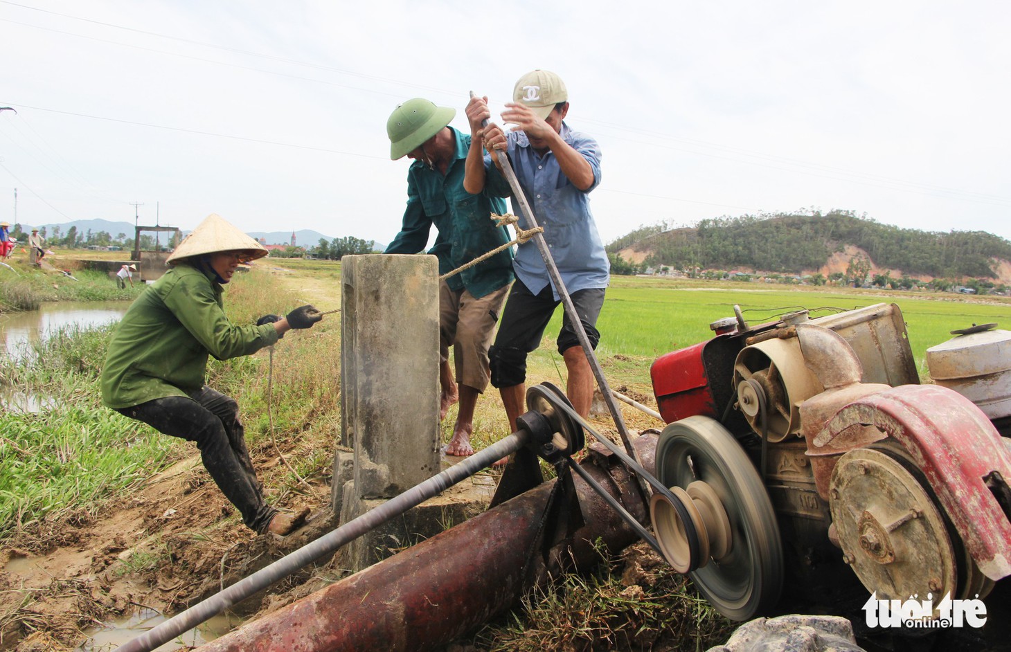 Dân Nghệ An căng mình vét nước cứu lúa - Ảnh 1.