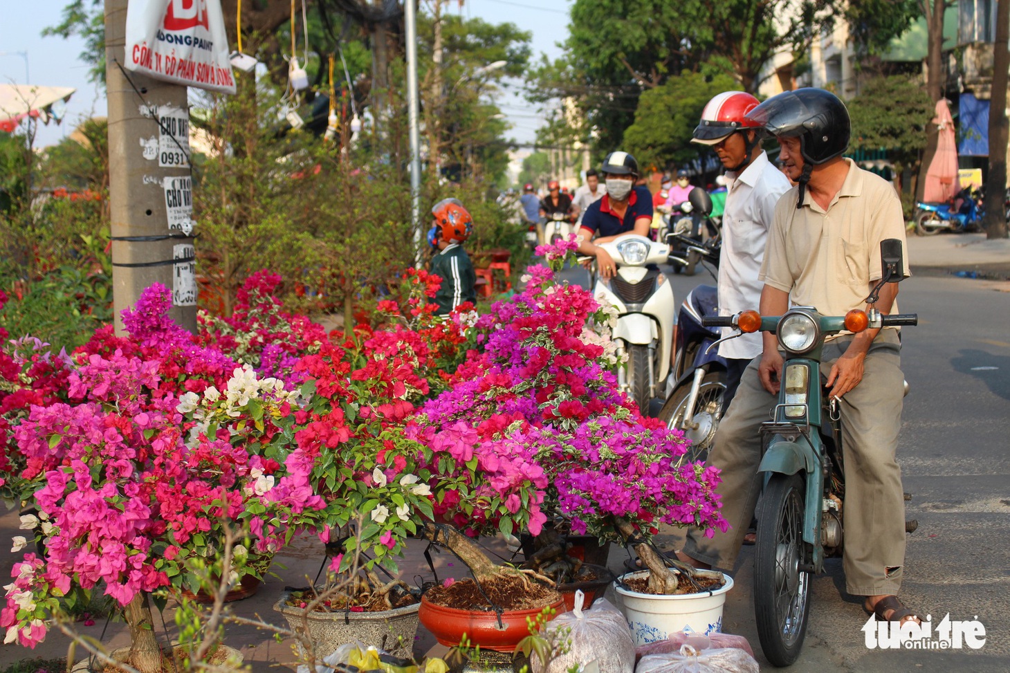 TP.HCM những ngày trên bến - dưới thuyền - công viên ngập hoa, kiểng - Ảnh 12.