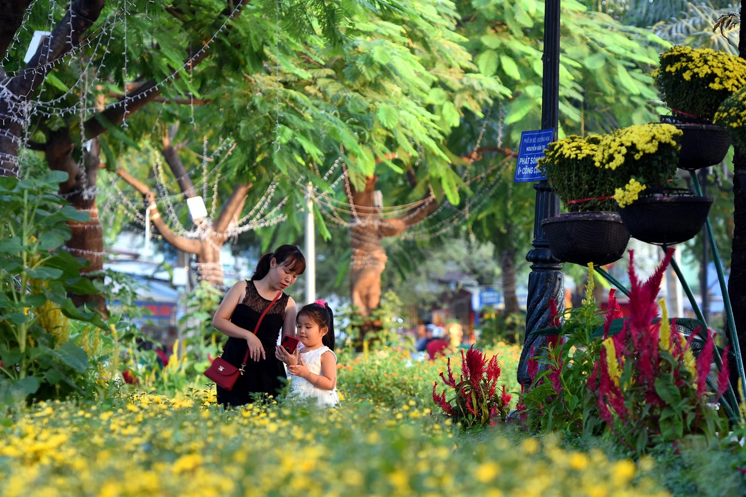 Heo siêu anh hùng tại đường hoa Biên Hòa bị chê xấu và dữ tợn - Ảnh 5.
