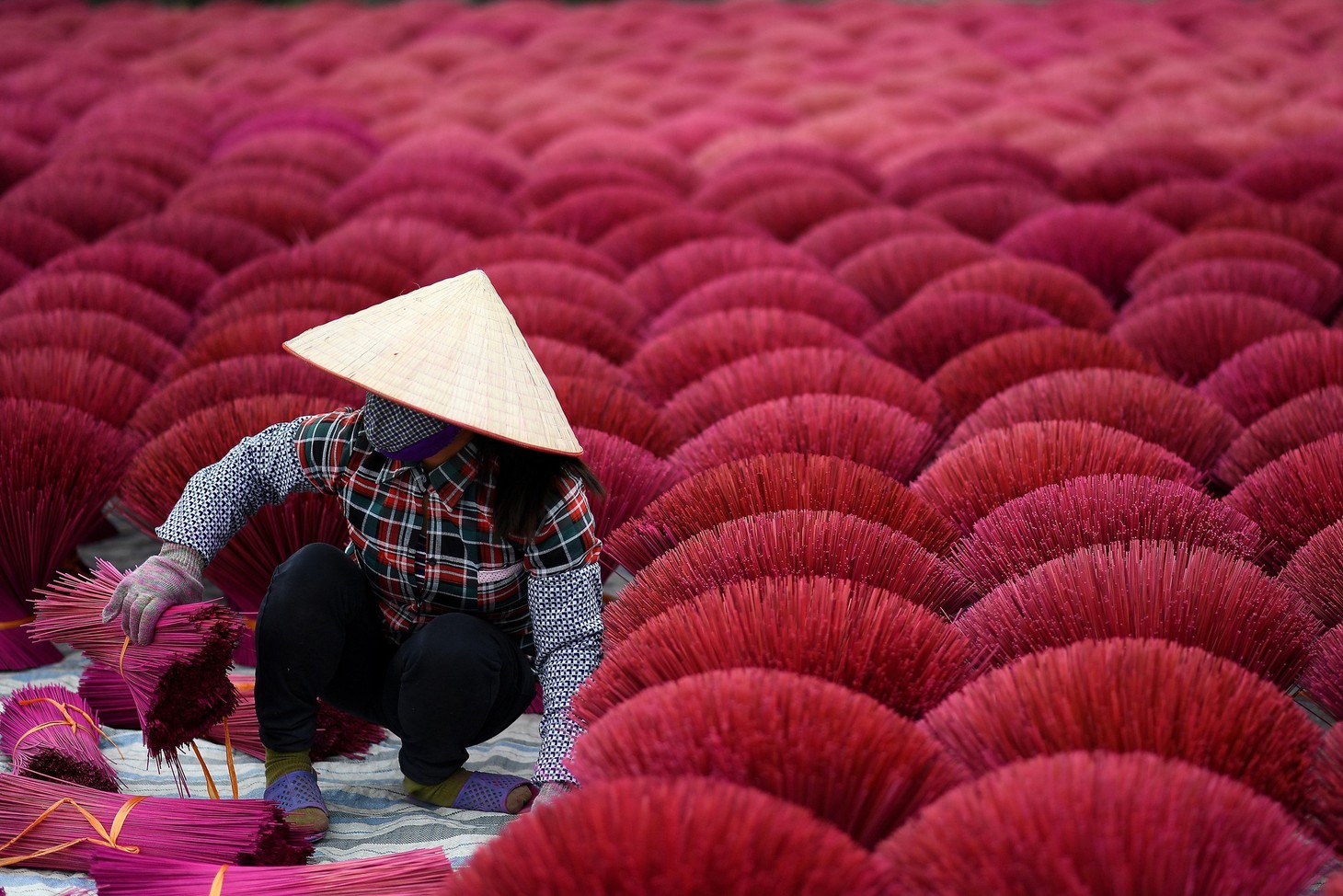 Làng nhang nhuộm màu hồng ở Việt Nam lên báo Tây - Ảnh 10.