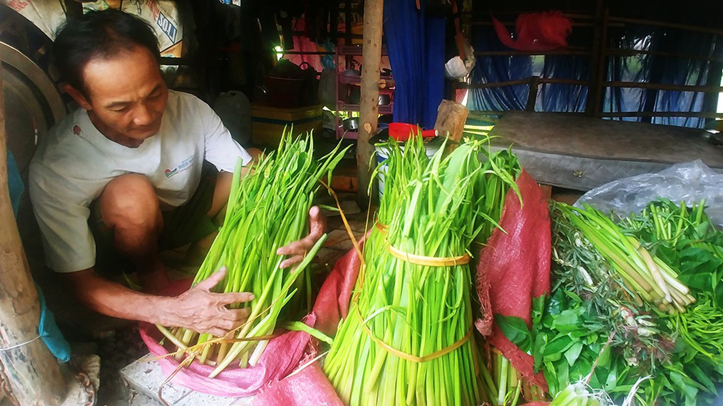 ông nguyễn văn năm sửa sang những bó rau dại để bán đặc sản - ảnh quốc việt