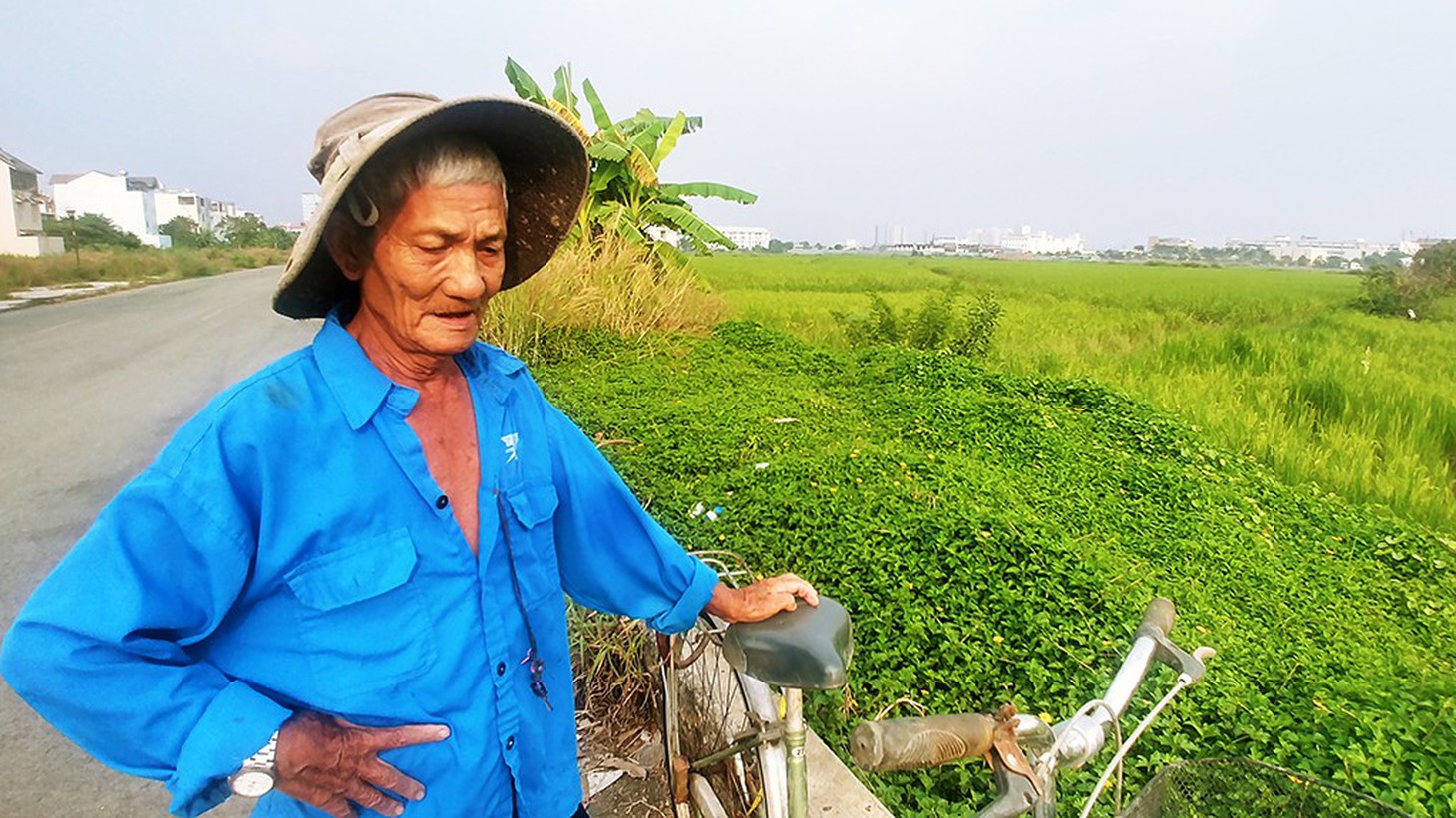 Làm ruộng ở quận 2, giữa lòng khu đất vàng  - Ảnh 6.