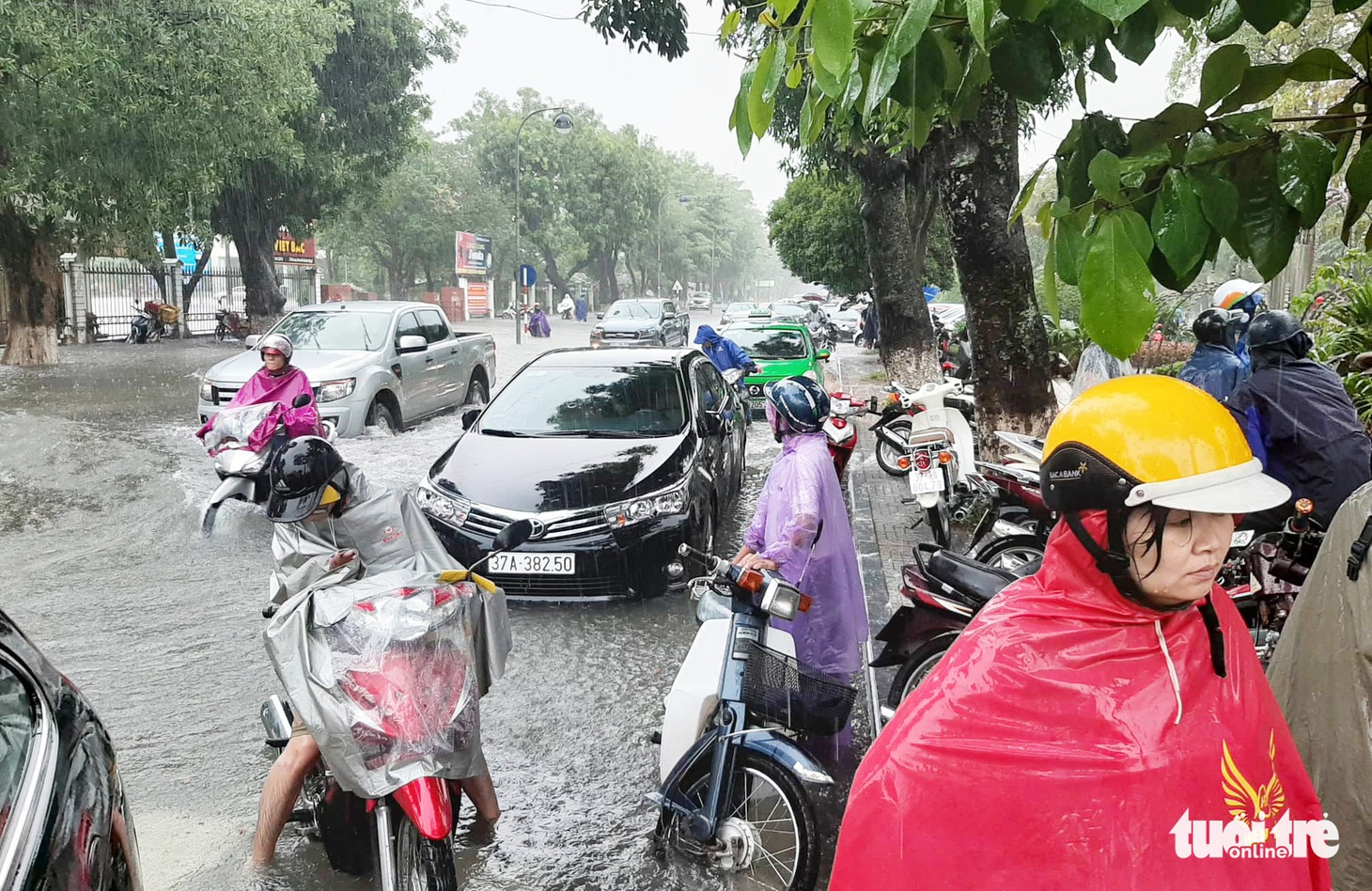 TP Vinh ngập lụt lịch sử, bộ đội đưa xe quân sự giải cứu học sinh - Ảnh 10.
