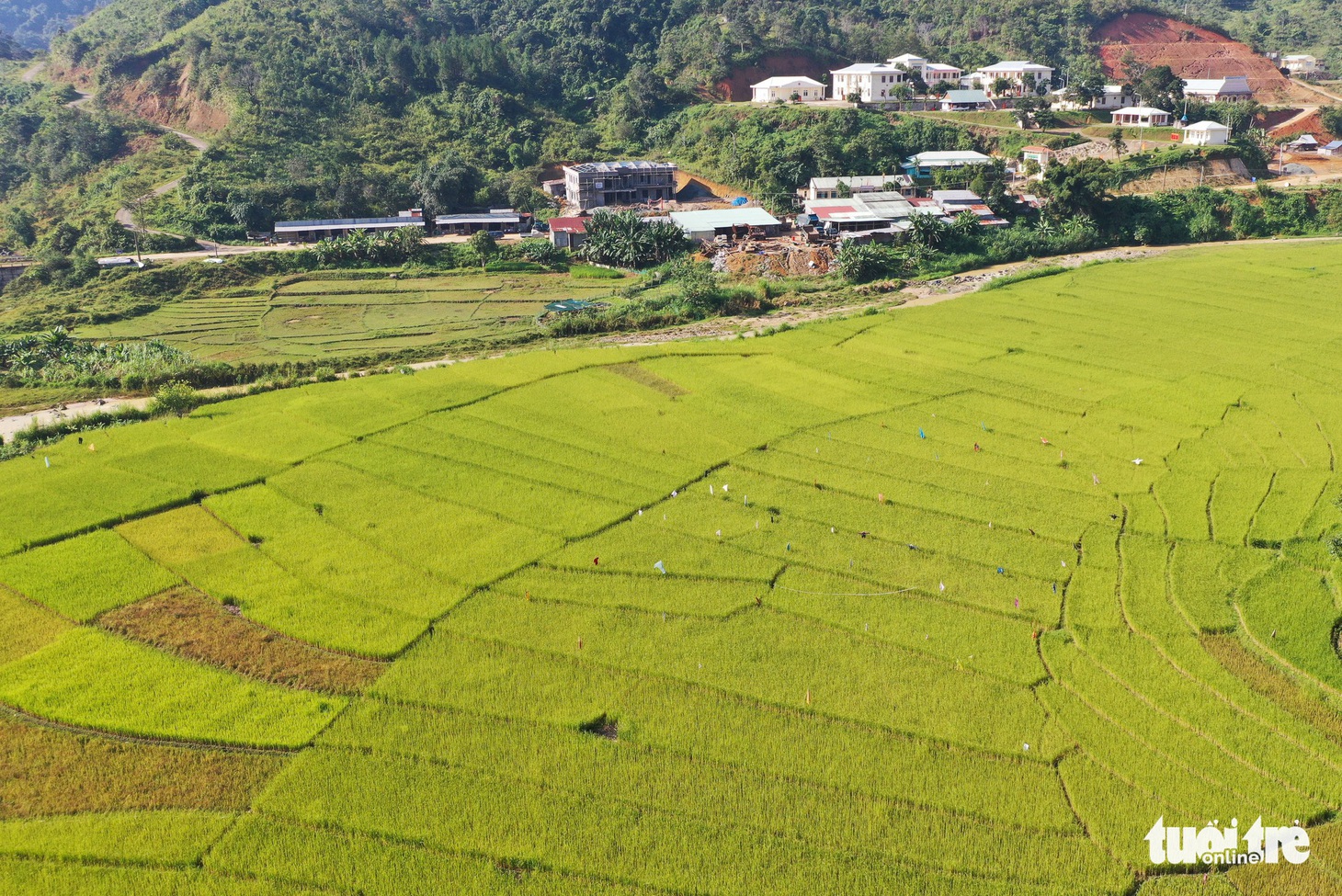 Ruộng bậc thang Chuôr ôm ấp bản làng giữa đại ngàn Trường Sơn - Ảnh 5.