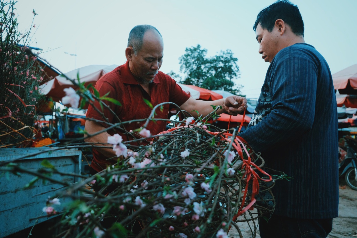 Đào nở sớm, giá nửa triệu đồng một cành vẫn hút khách - Ảnh 12.