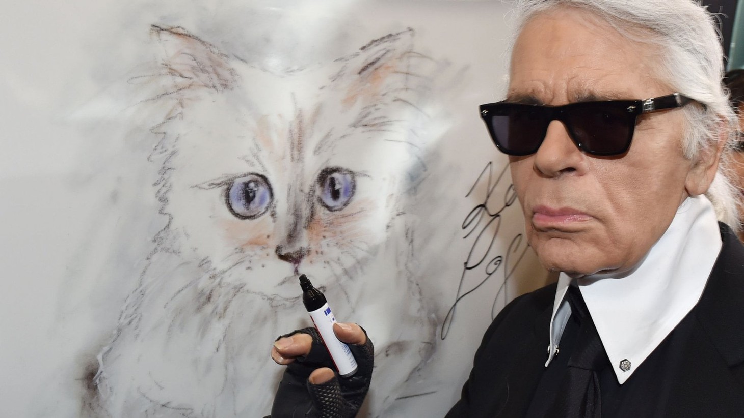 Cô mèo Choupette sẽ thừa kế 200 triệu đô của ông hoàng Chanel? - Ảnh 1.