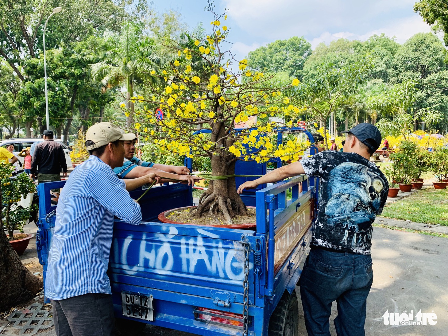 Các chủ hàng hoa khẳng định không đại hạ giá - Ảnh 3.