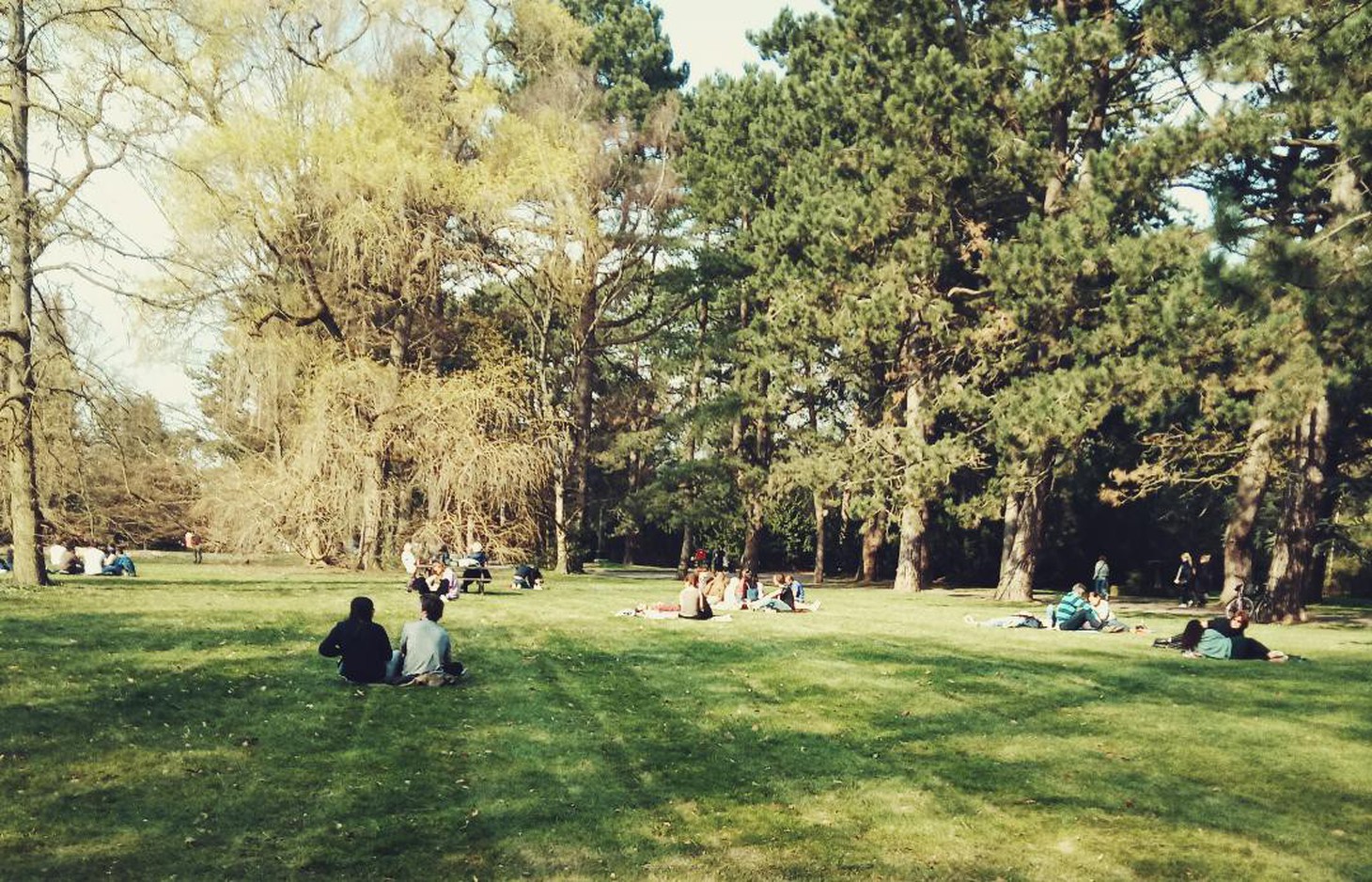 Hẹn hò, picnic, phơi nắng và cả... hôn nhau ở nghĩa trang - Ảnh 1.