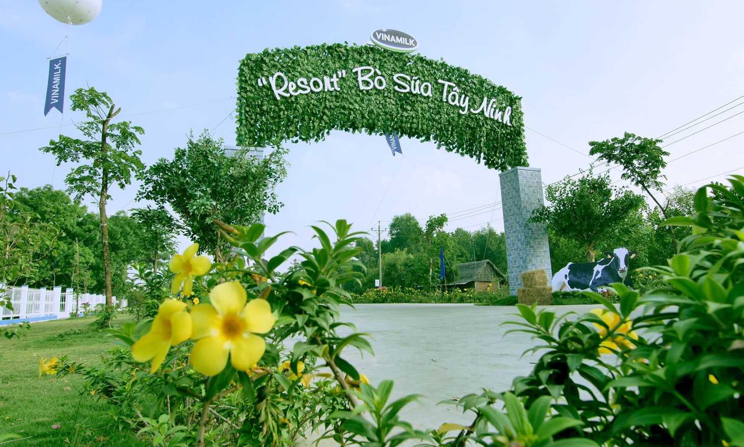 Bên trong trang trại bò sữa chuẩn resort tại Tây Ninh - Ảnh 1.