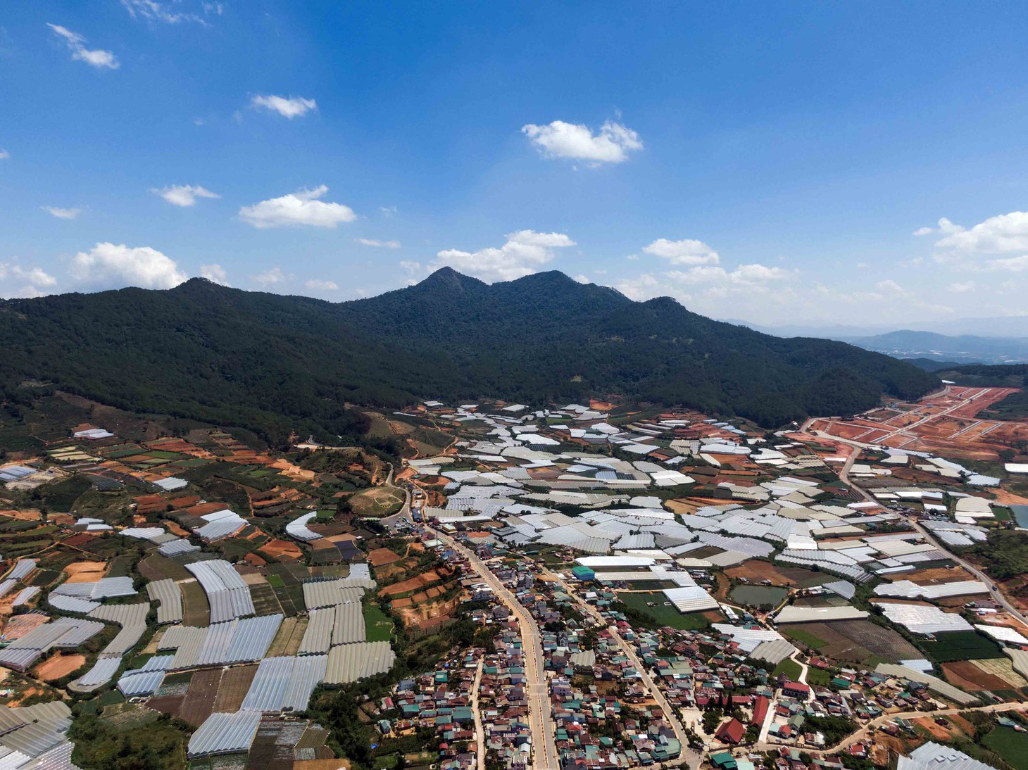 Gọt trọc núi thiêng Langbiang - Ảnh 7.