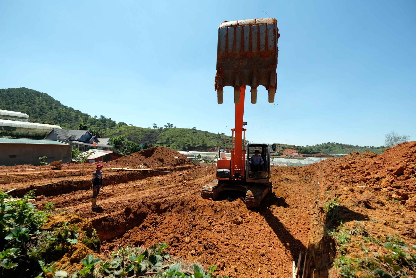 Gọt trọc núi thiêng Langbiang - Ảnh 6.