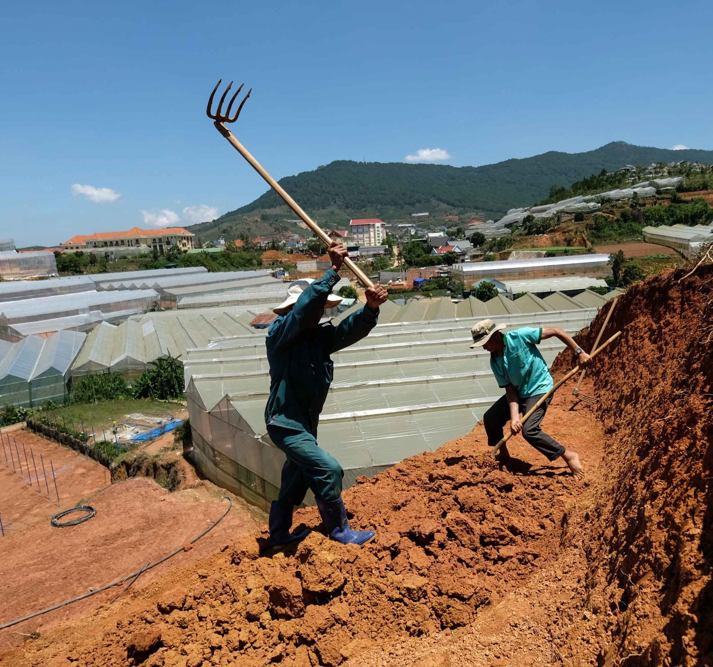 Gọt trọc núi thiêng Langbiang - Ảnh 4.