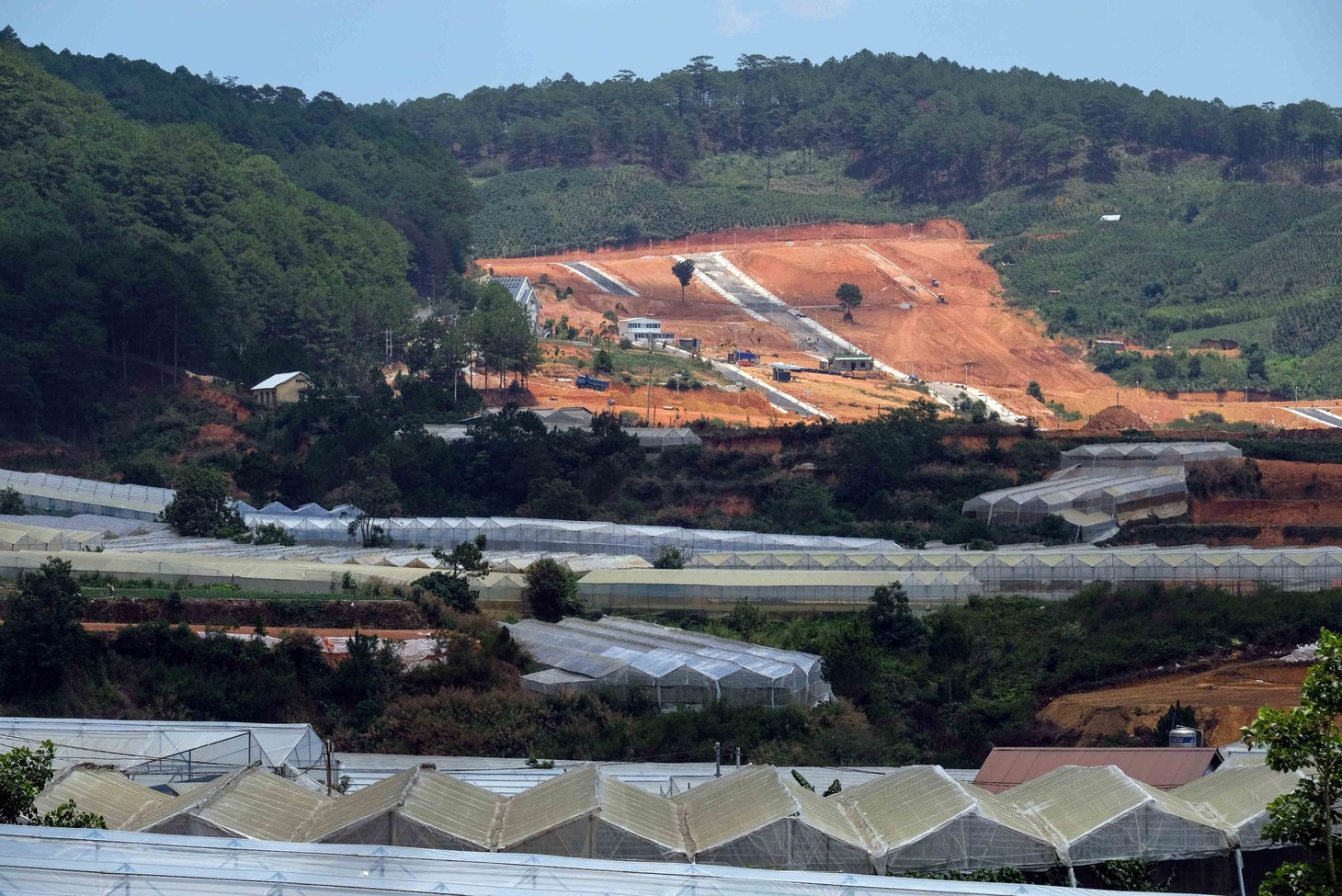 Gọt trọc núi thiêng Langbiang - Ảnh 1.